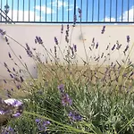 Mendula - Luxury By The - Heated Pool - Lush Garden Willa *