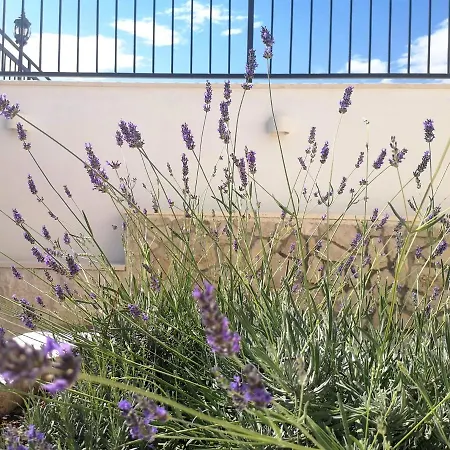 Villa Mendula Trogir - Luxury Villa By The Beach - Heated Pool - Organic Garden Villa *